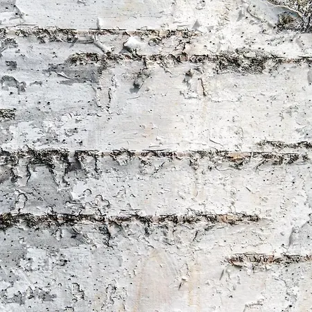 アパート Economy Lomailevi レヴィ