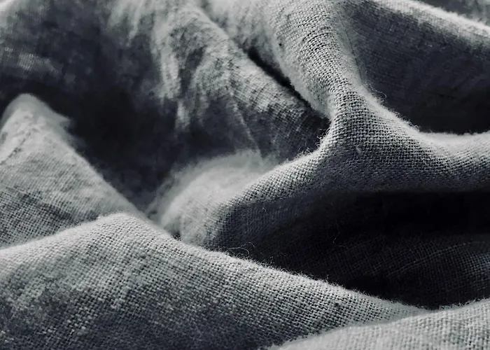 Economy Lomailevi * Levi